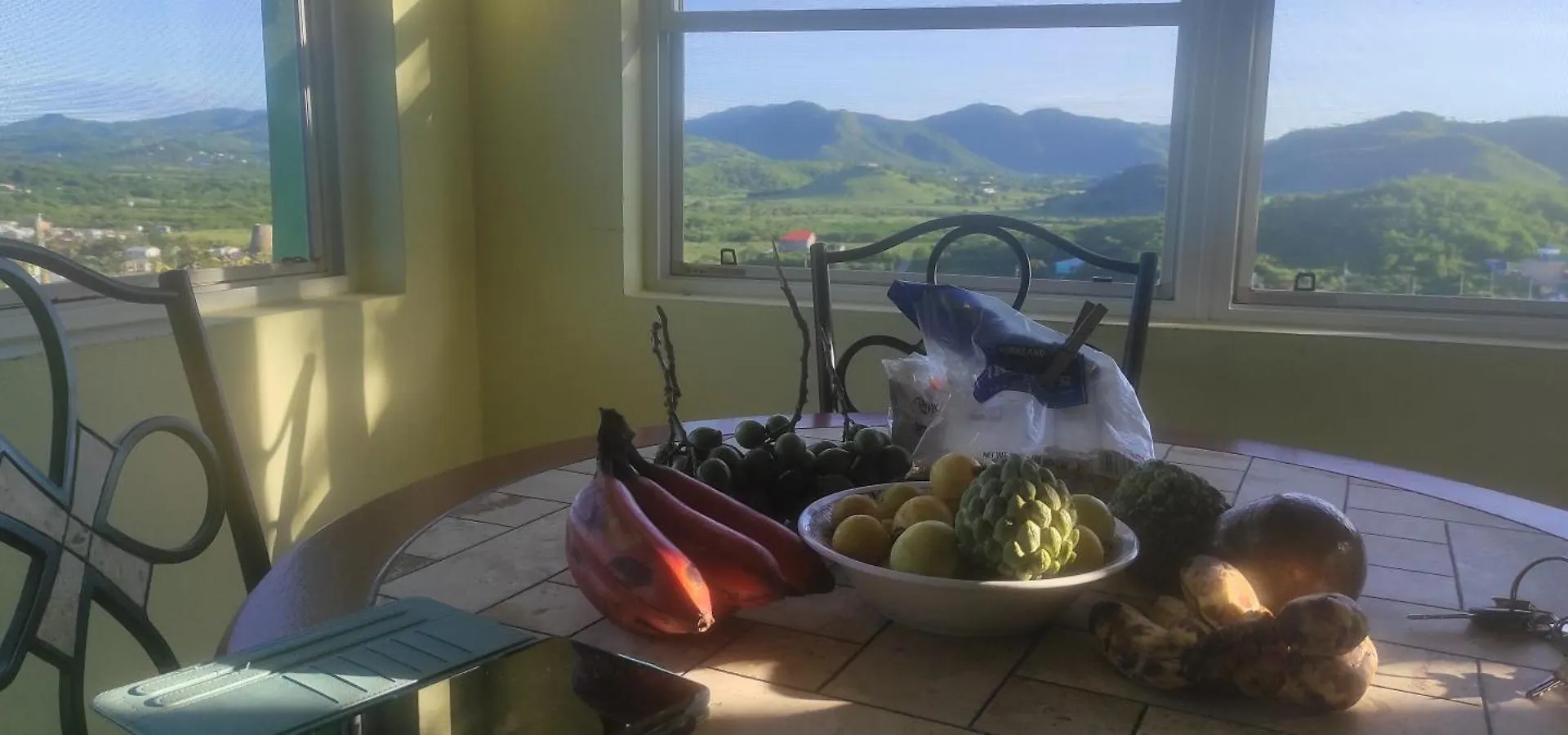 Zeus Estate Guesthouse St. John's Antigua/Barbuda